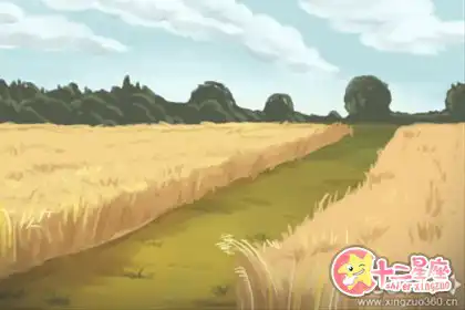 精打細算，這些生肖網上購物總得挑半天
