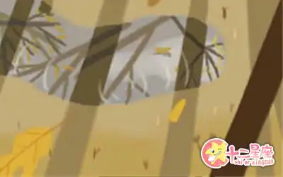 總是找藉口不敢承擔責任的生肖女