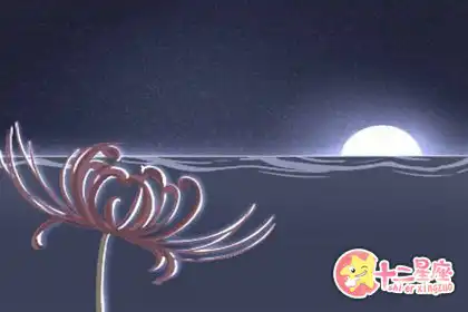 越想脫單就越不能脫單的生肖女