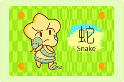 害怕交流 遇到問題也不敢問人的生肖