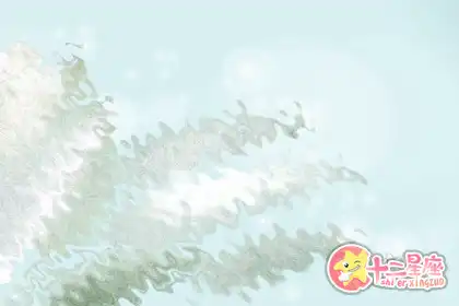 總是待人隨和不爭不搶的生肖