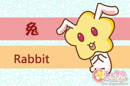 不甘平庸 這些生肖女有大作為