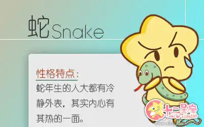 會傾盡所有心思去做一件事的五大生肖