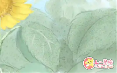 稍有不順心就會火冒三丈的生肖男