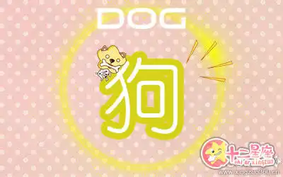 十二生肖容易因什麼事情而失去理智