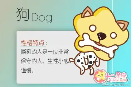 自我提升 這些生肖始終沒有放棄學習