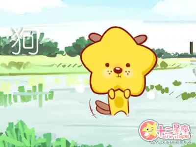 不喜歡把自己暴露在人群面前的生肖