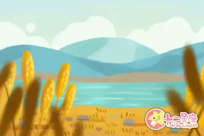 總是徘徊在堅持和放棄之間的幾大生肖