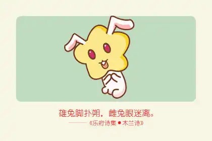 打架沒贏過 逞能沒輸過的生肖