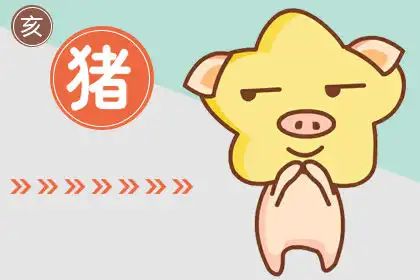 頭腦不清醒 自我認知太過於自信的生肖