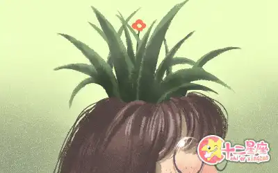 事事都喜歡排序的生肖女有你嗎