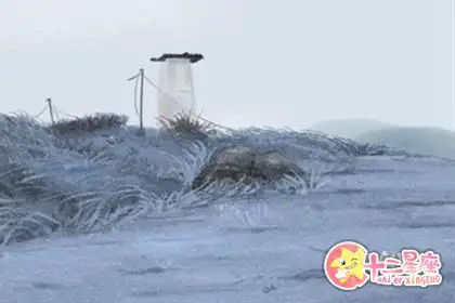 年過半百這些生肖才發家致富