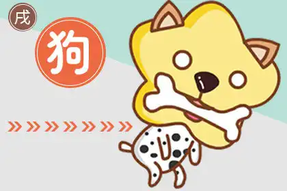 一直在努力一直沒結果的生肖