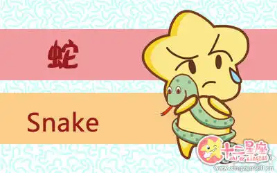 結婚後離婚可能性很高的生肖女