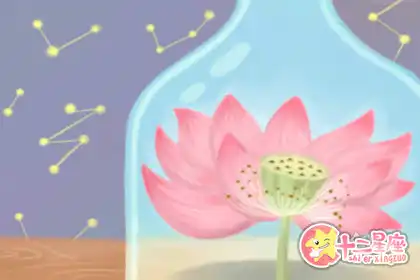 近期桃花運暴漲的三大生肖女