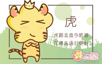 能遊刃有餘的處理各種交際關係的生肖