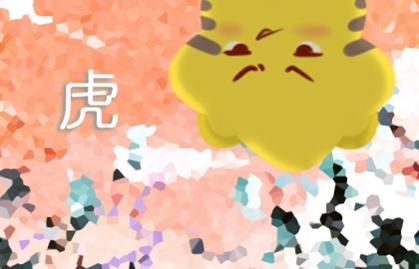86年屬虎女一生命運 運勢一般有坎坷