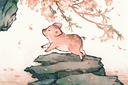 95屬豬子時出生的男孩好不好 命中帶財運