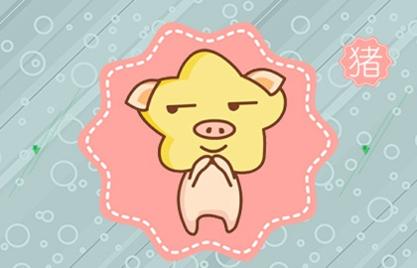豬年哪個時辰出生的孩子最好