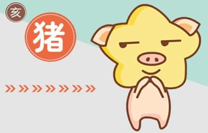 2007年幾月出生的屬豬人命苦 二月出生缺少運氣