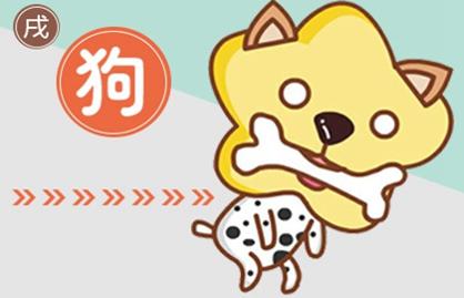 屬狗人一生最大剋星 雞犬不寧
