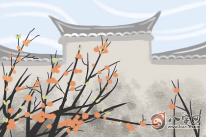鼠命人的本命年要避什么生肖