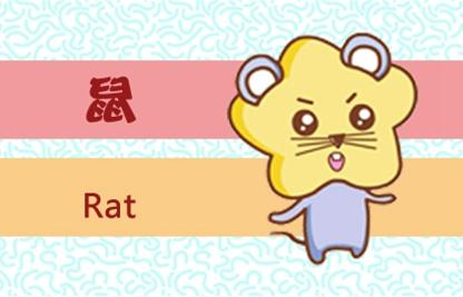 屬鼠的幾月出生最好命 衣食富足財源滾滾