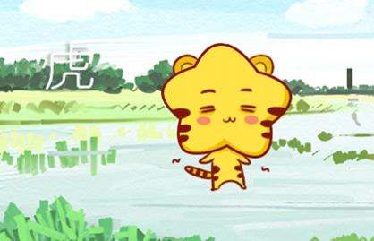 1998年屬虎女一生命運 人生運勢較好