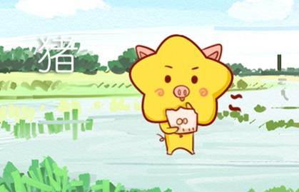 幾月出生的豬終身命好 九月最好命格